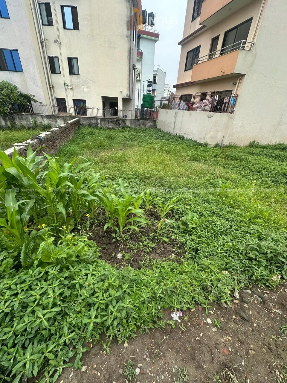 Image 2