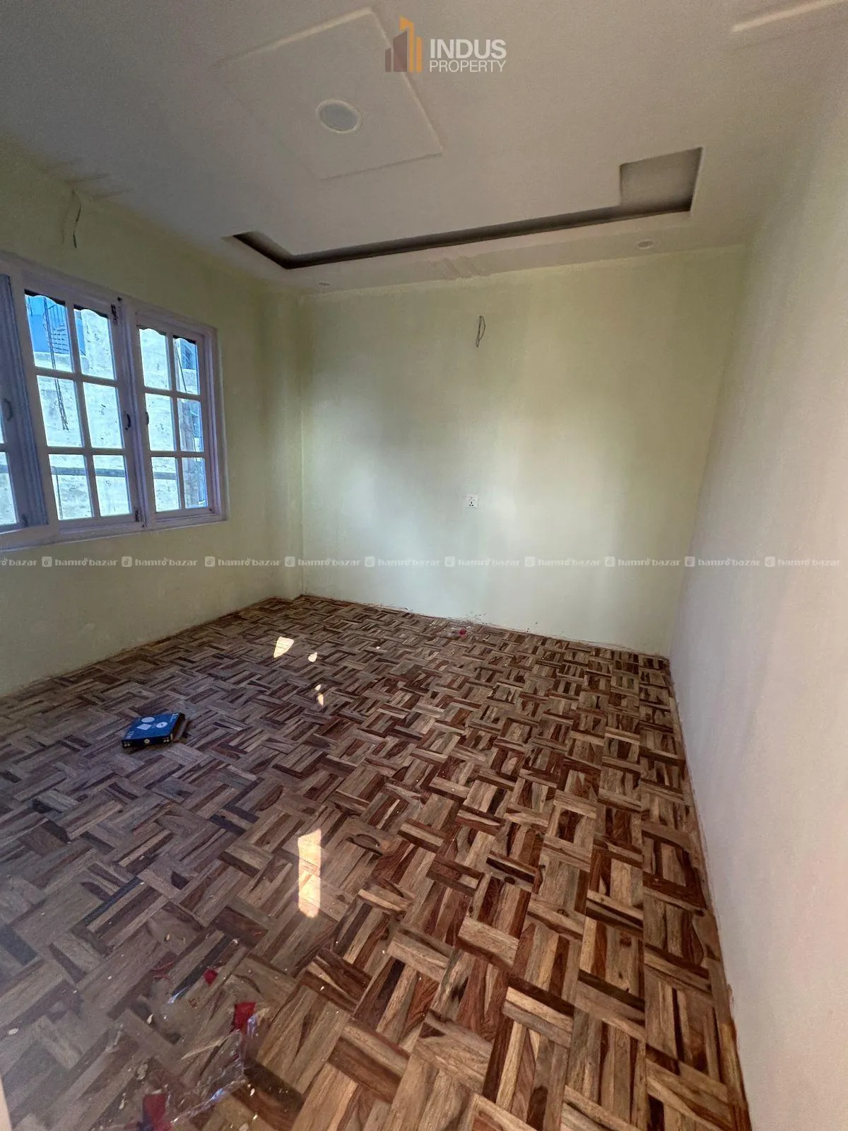 Image 5