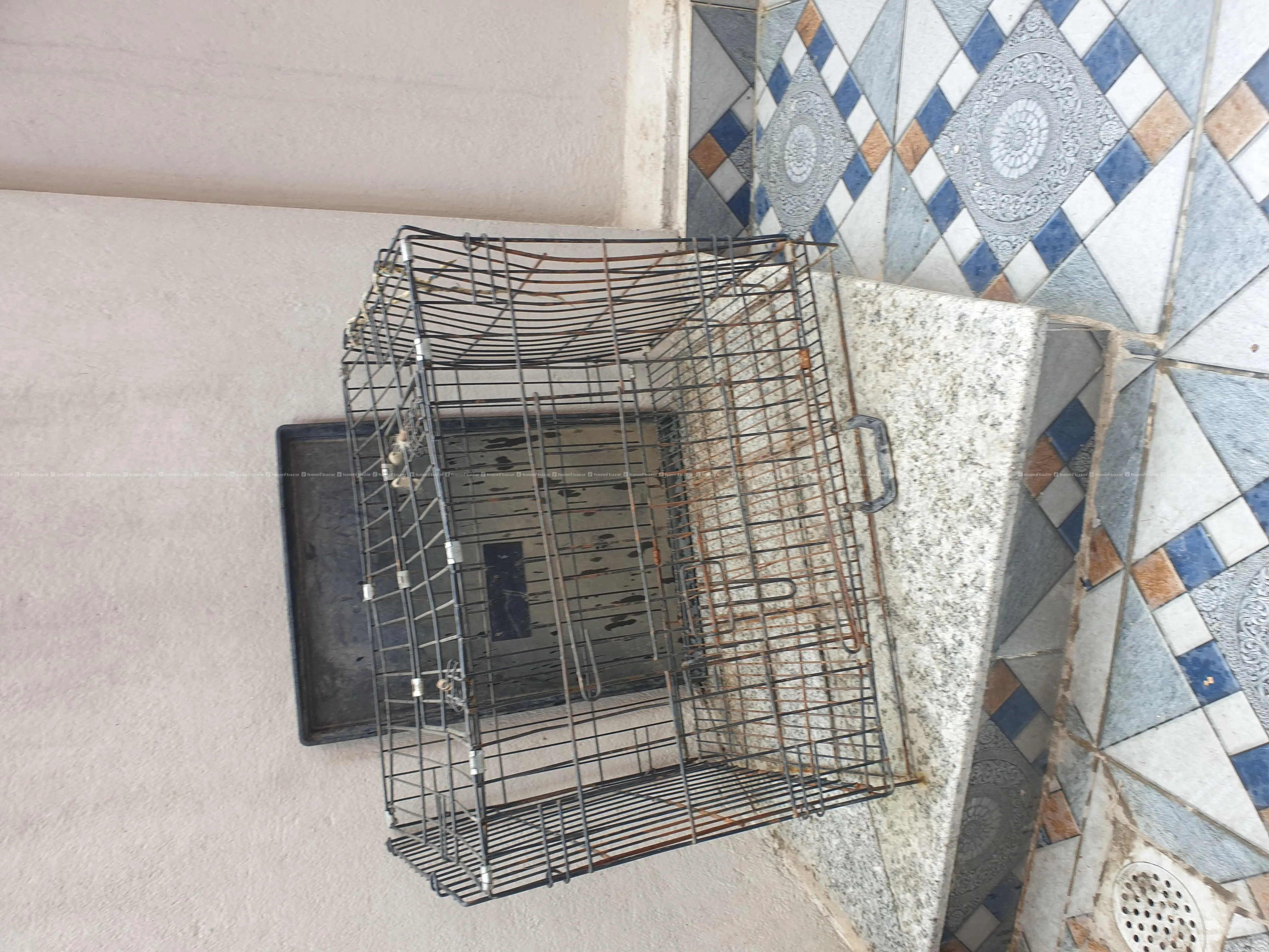 dog house 2