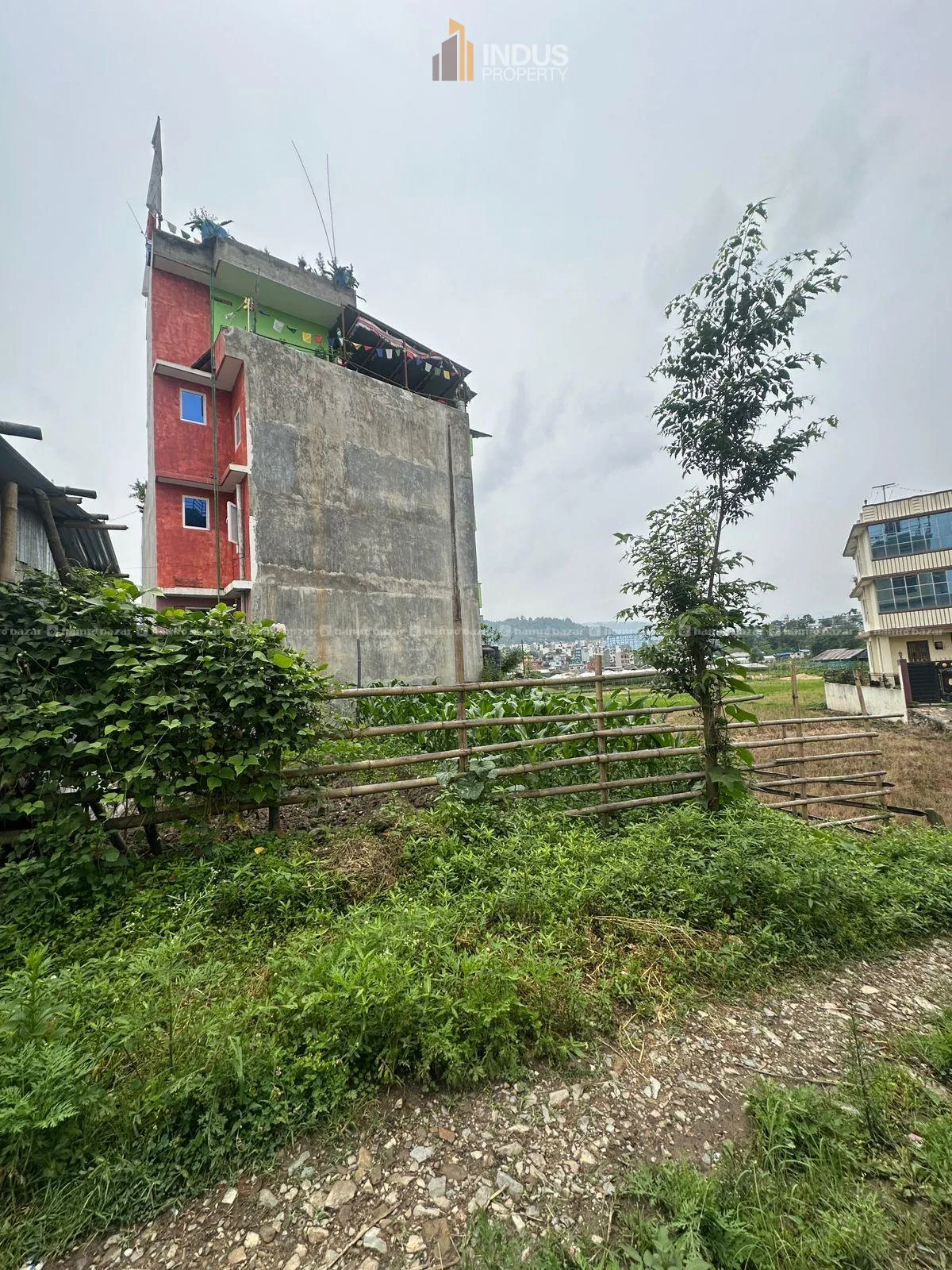 Image 2