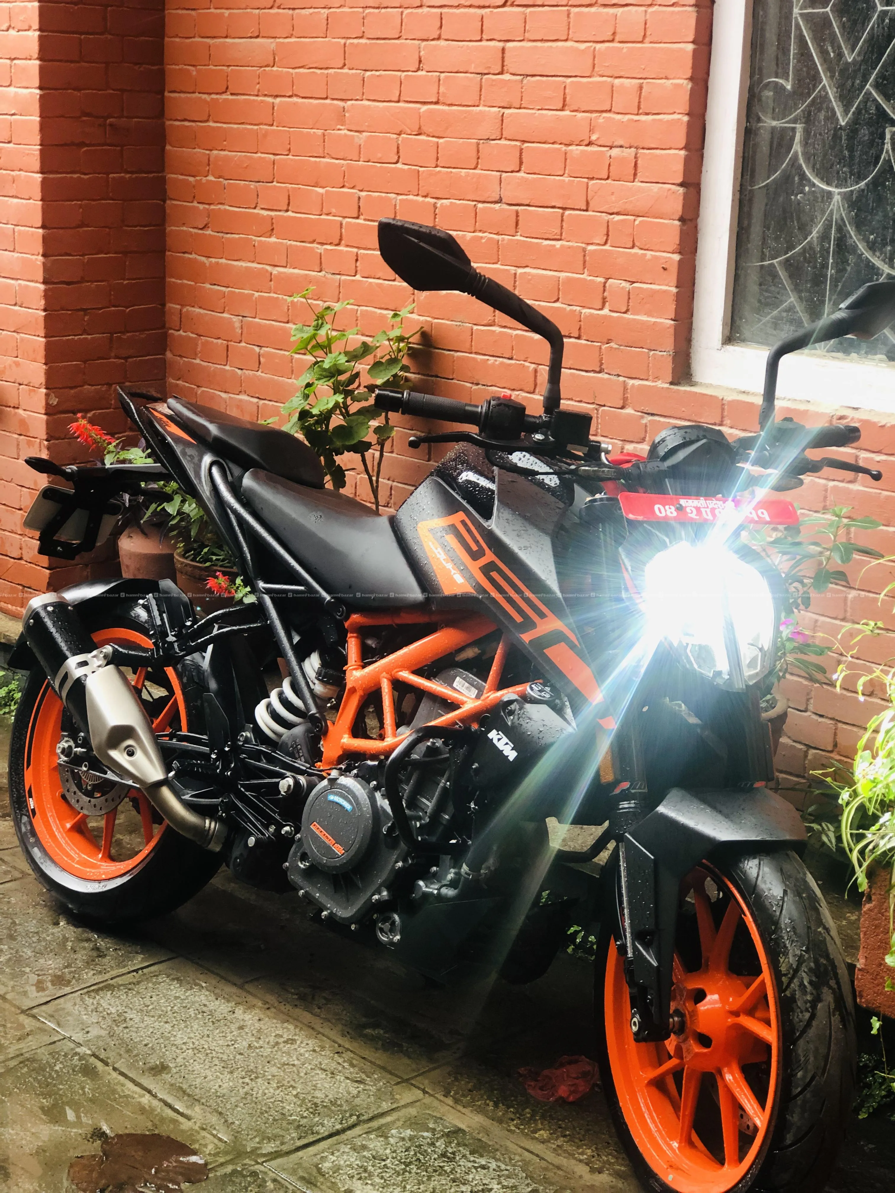 Duke 250 bs6 5