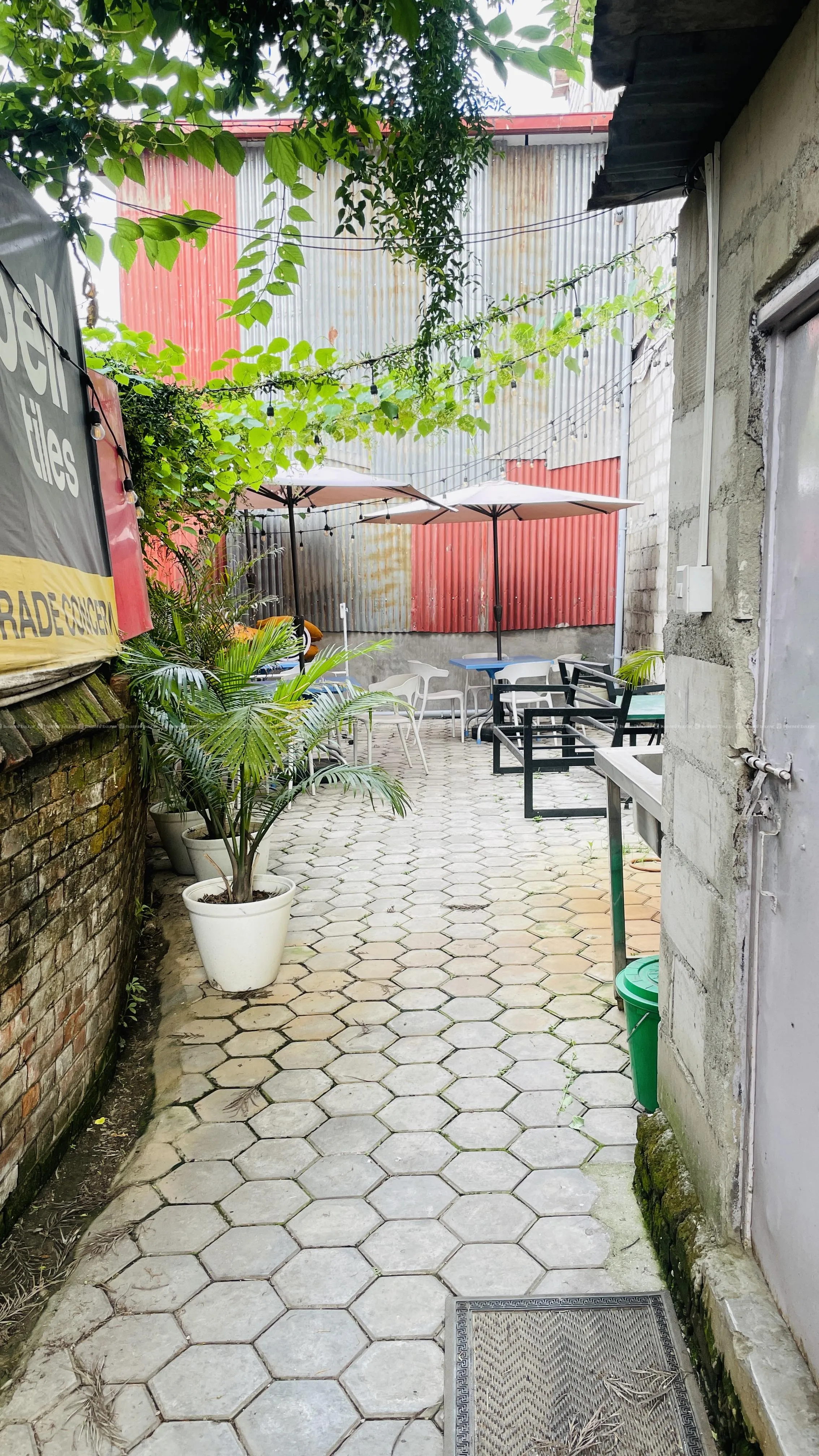 Image 6