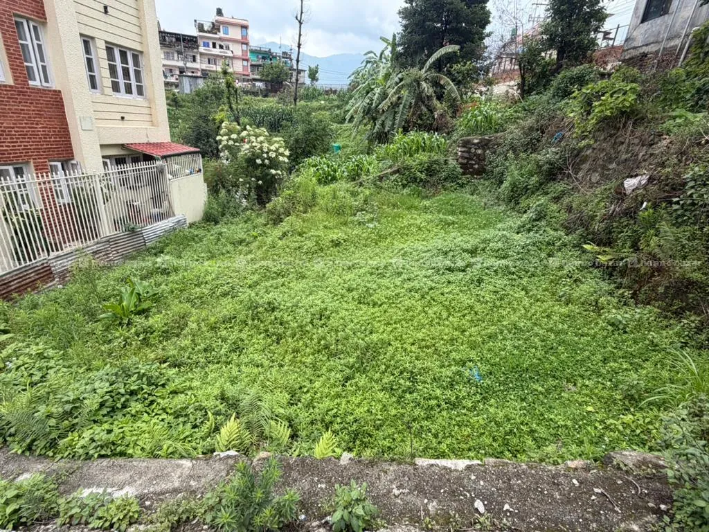 Image 6