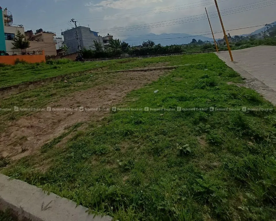 Image 6