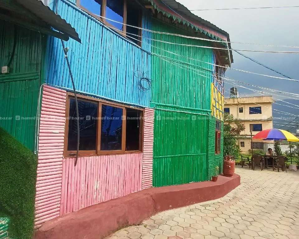 Image 5