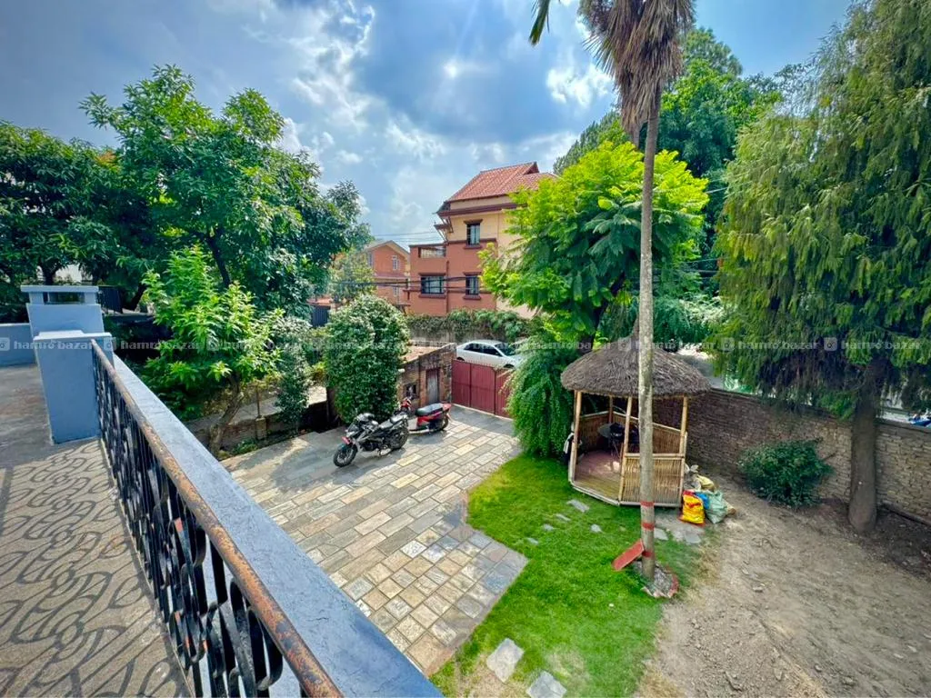 Image 7