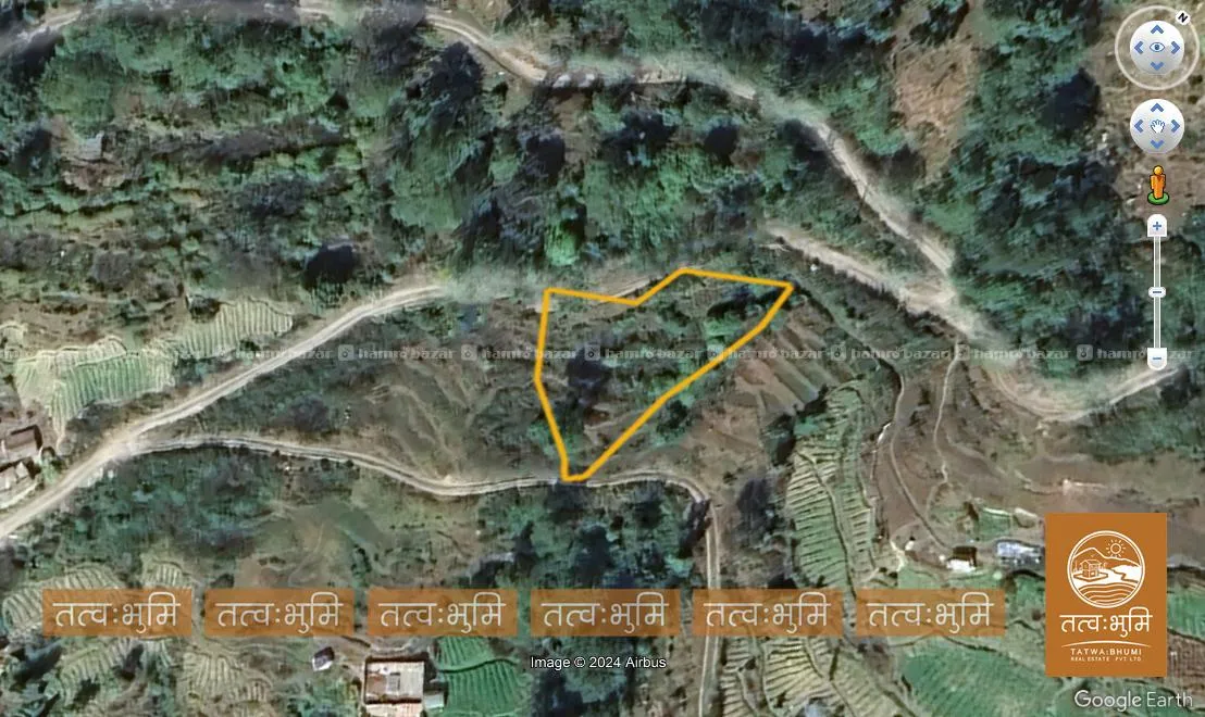 Image 6