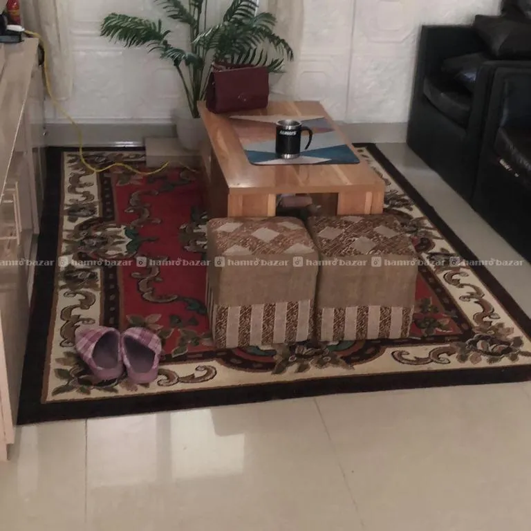 Apartment on sell Pepsicola Suncity Kathmandu 5