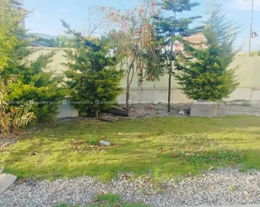 Image 6