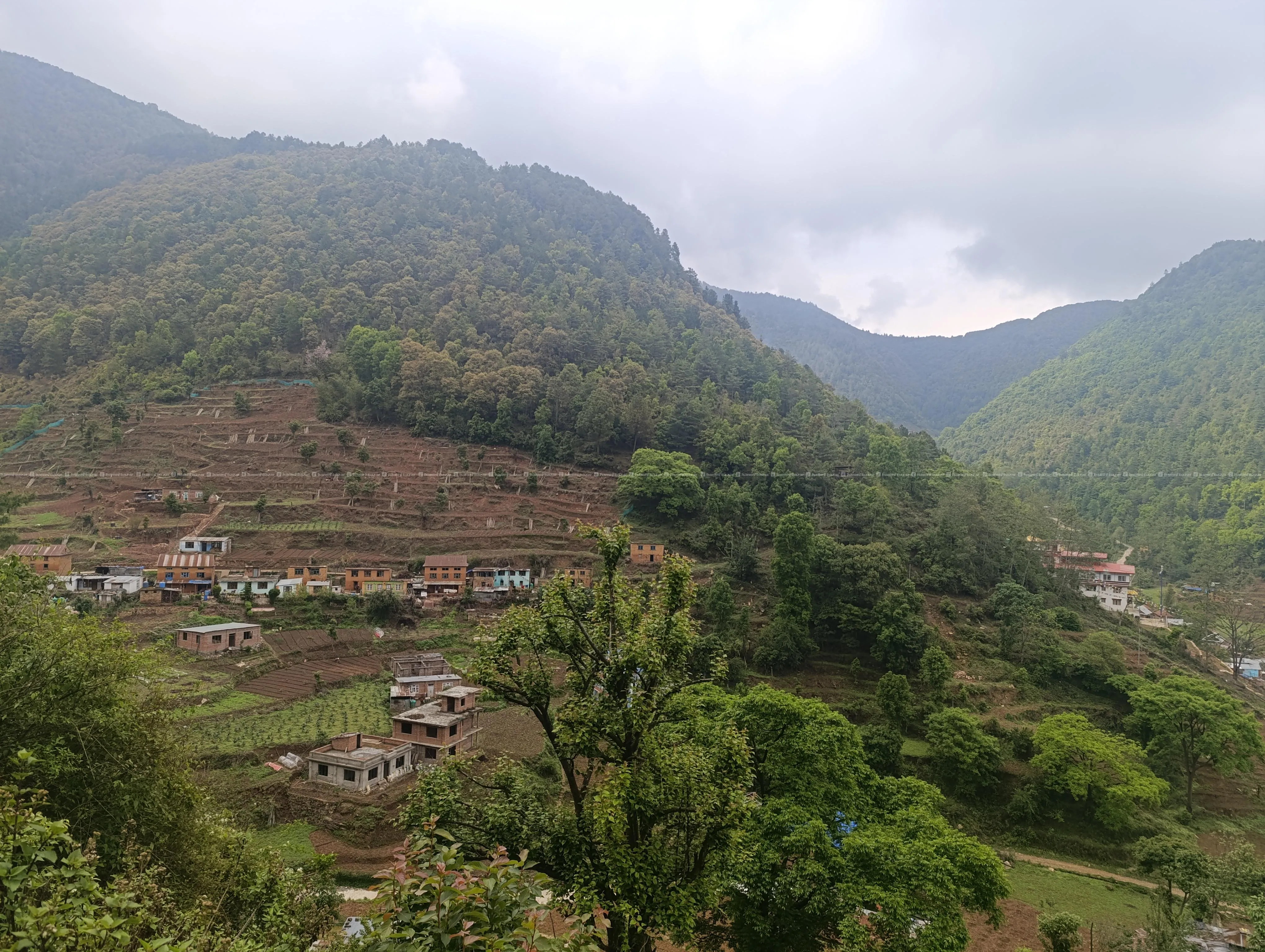 Approx 2 ropanis land for sale in Pharping 3