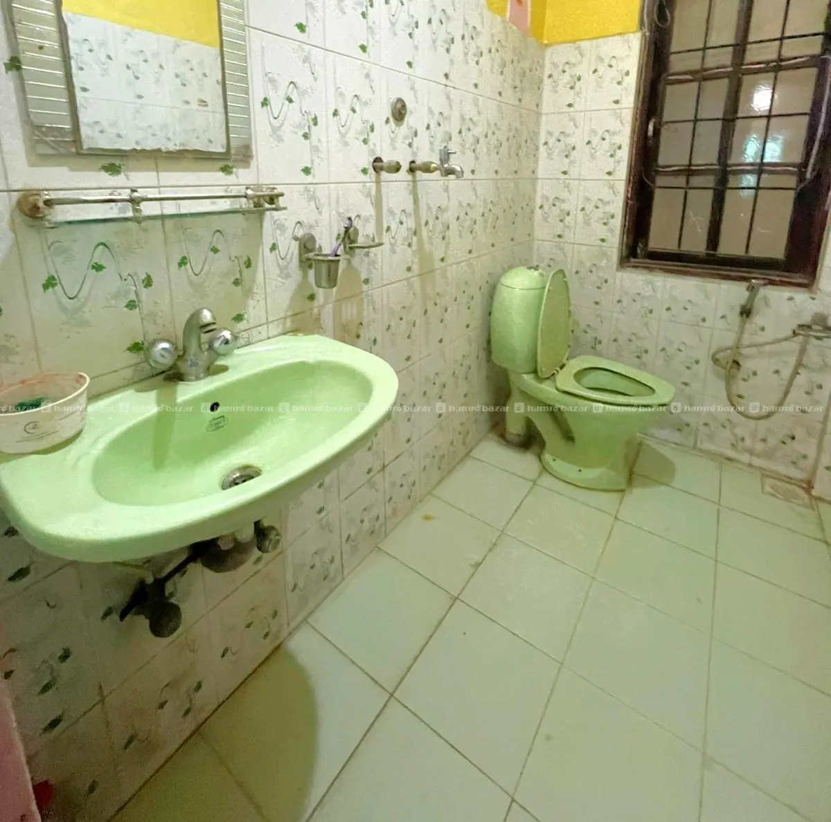 Image 5