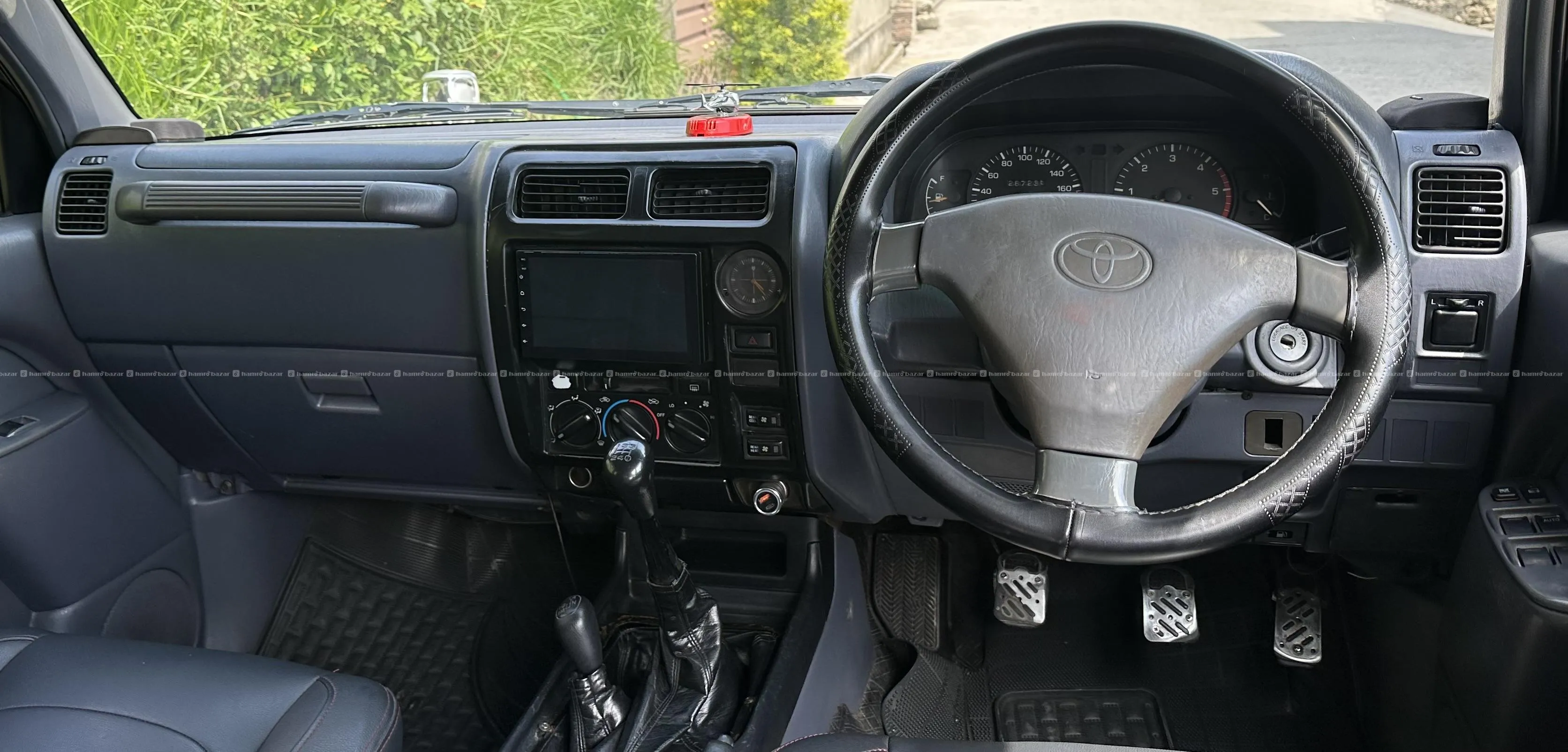 Image 6