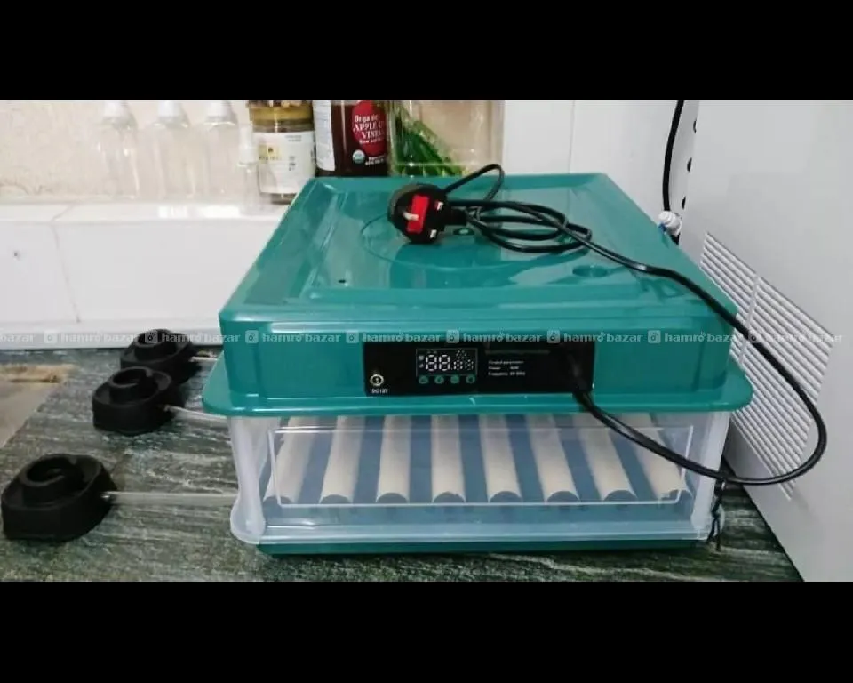 Image 2