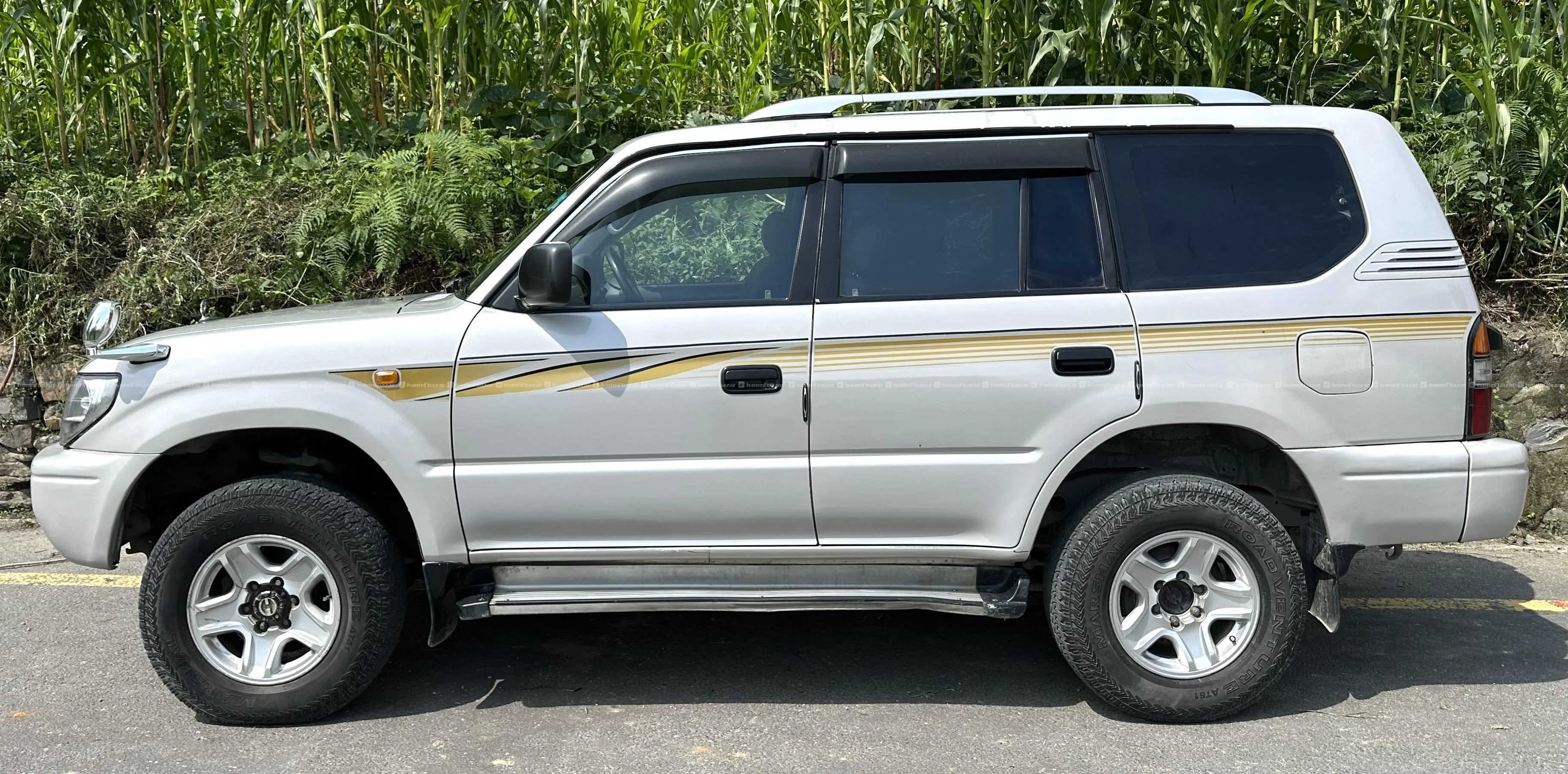 Image 5