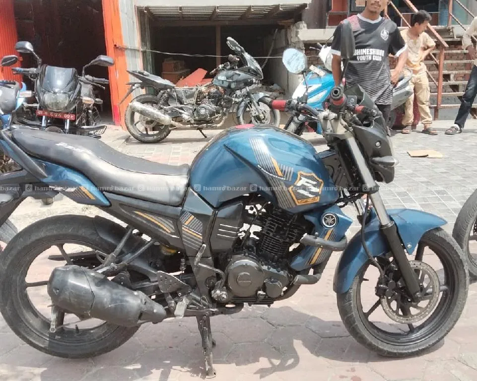 Image 4