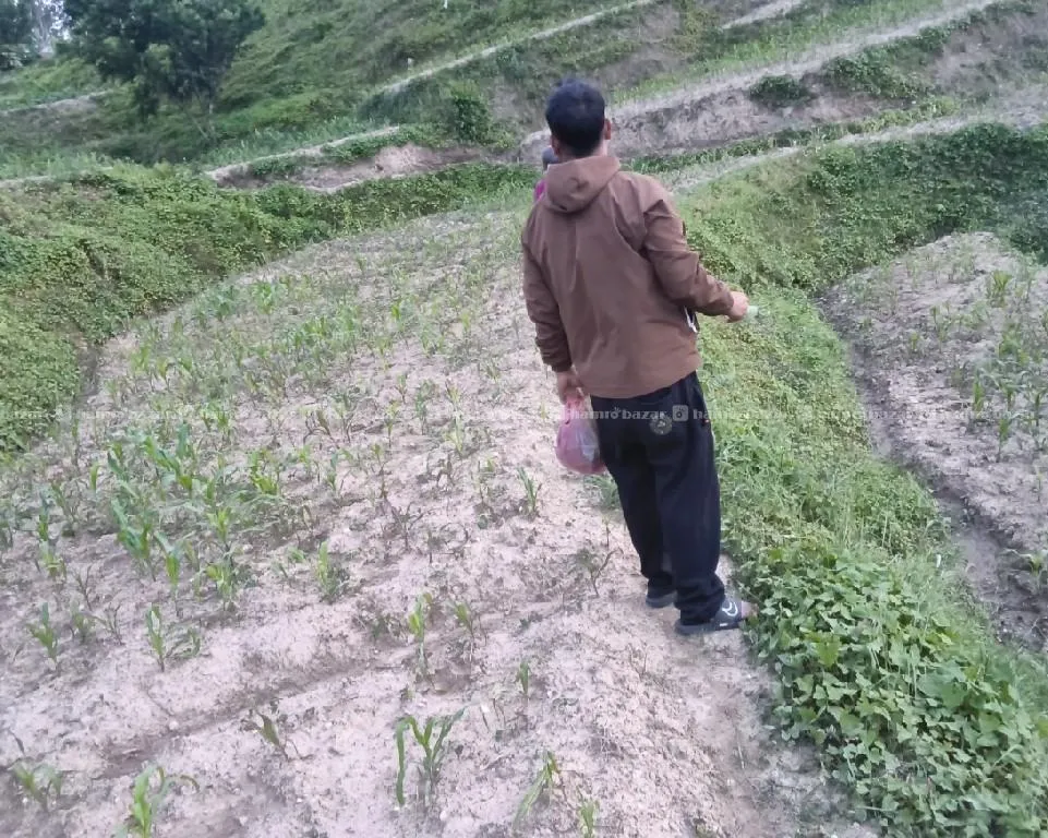 चाँगुनारायण नगरपालिका 6 urgent sale 3