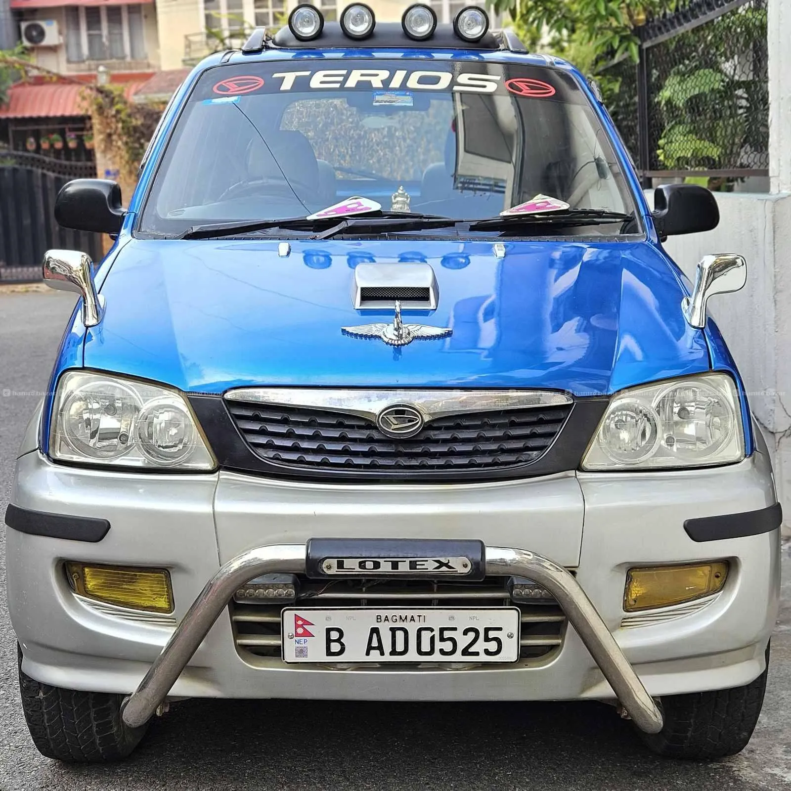 Image 3