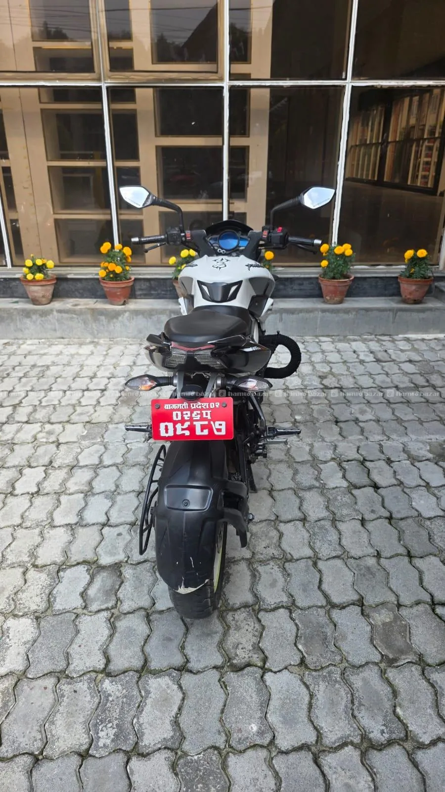 Image 6
