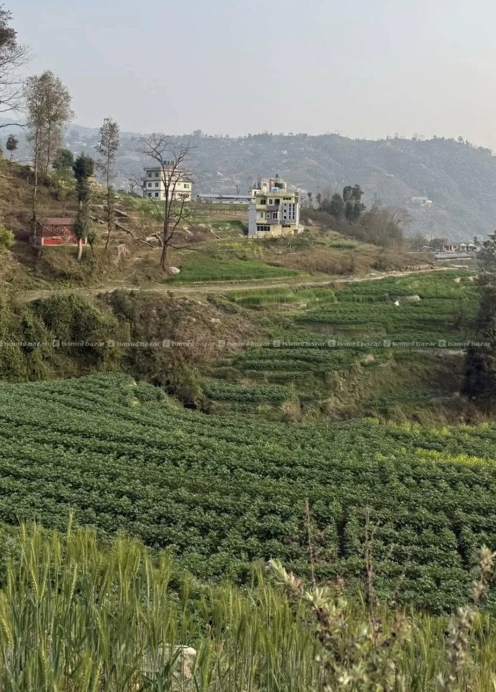 Land for sale at sankhu palubari 2