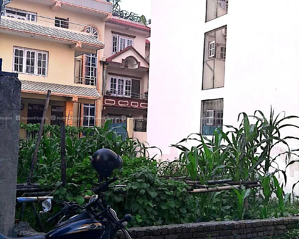 LAND FOR SALE BALKOT NEAR REDCROSS 8