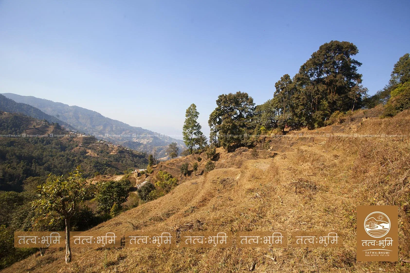 10 Ropani land for sale in KhariBhanjyan - Nuwakot 6