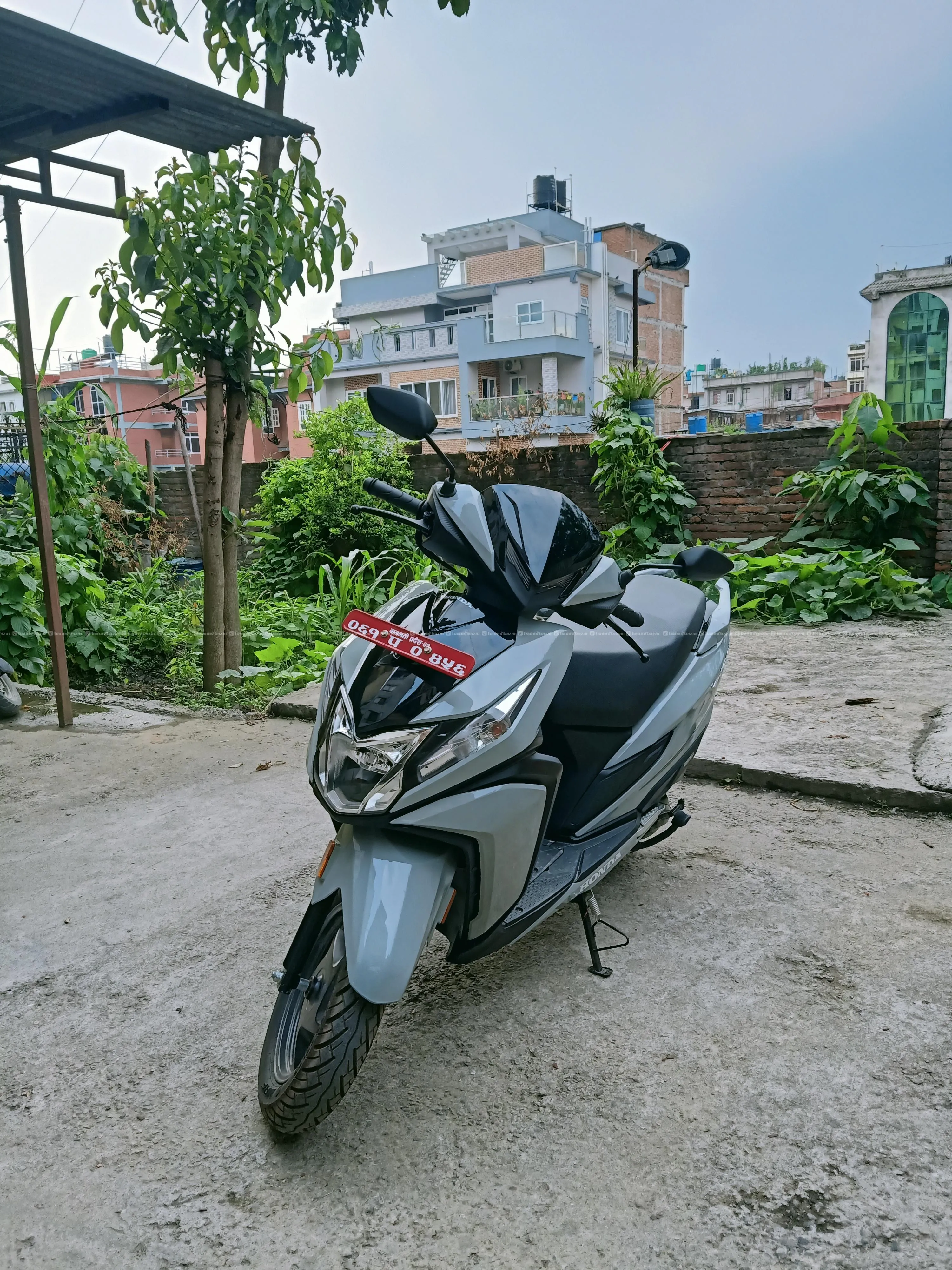 Honda Dio STD 125cc on sale 6