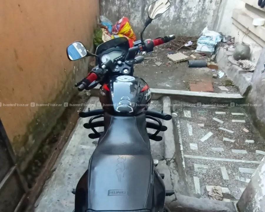 144 lot single hand pulsar 150 like brand new 5