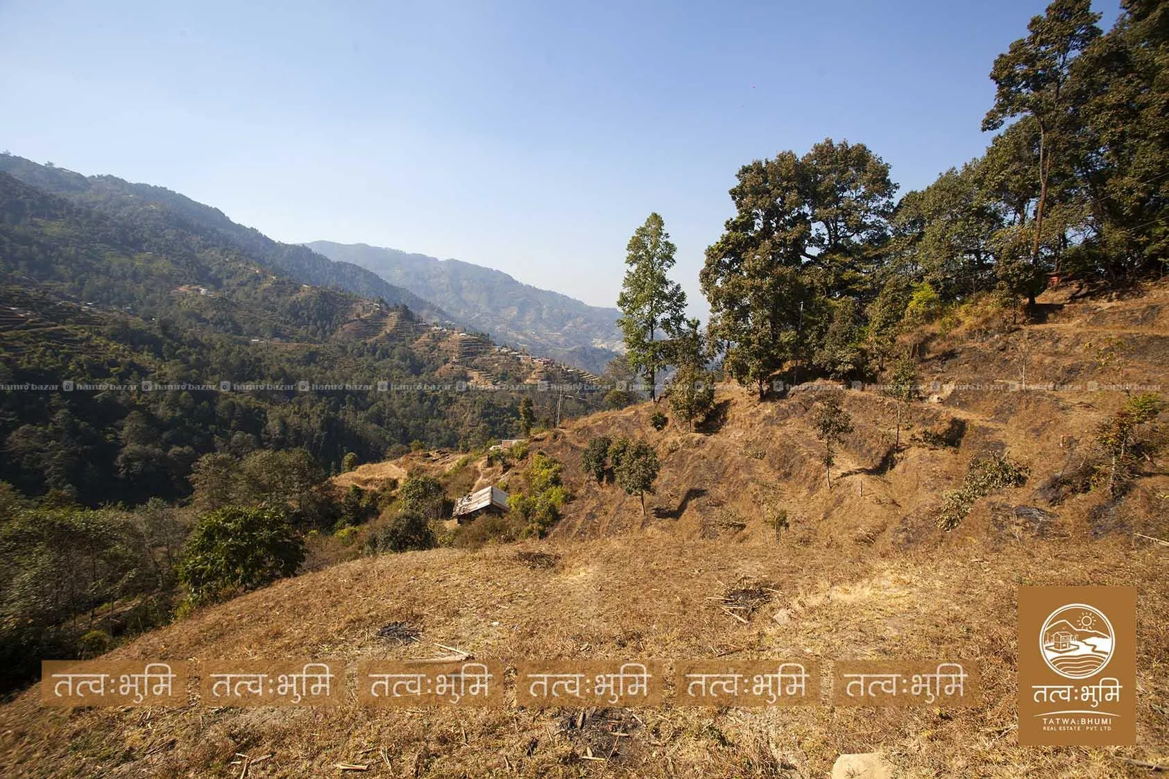10 Ropani land for sale in KhariBhanjyan - Nuwakot 2