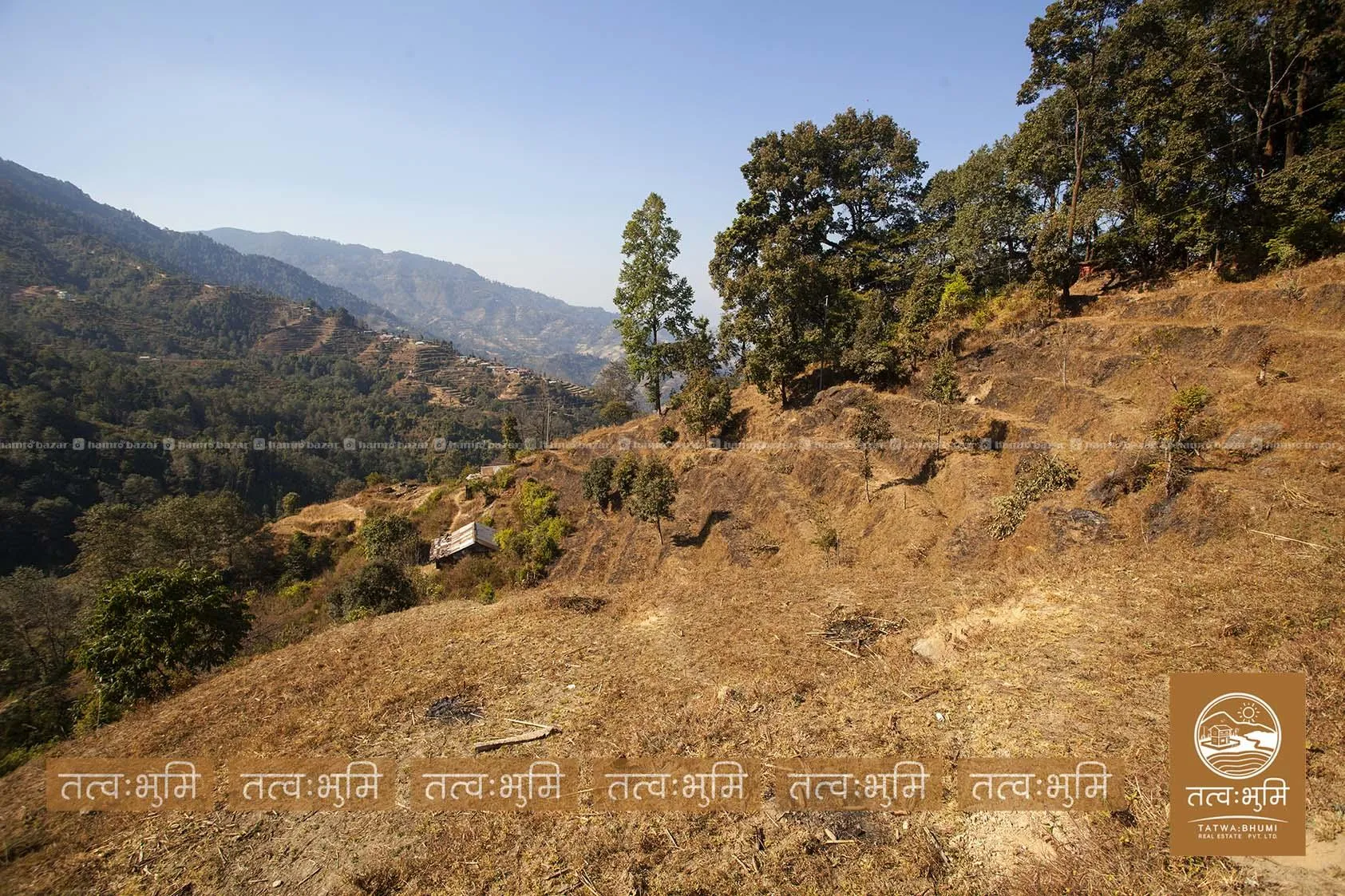 10 Ropani land for sale in KhariBhanjyan - Nuwakot 5