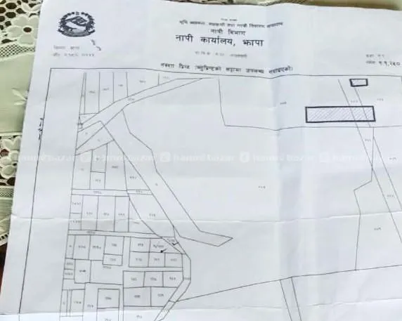 jhapa birtamod ma 17 dhur bikrima 2