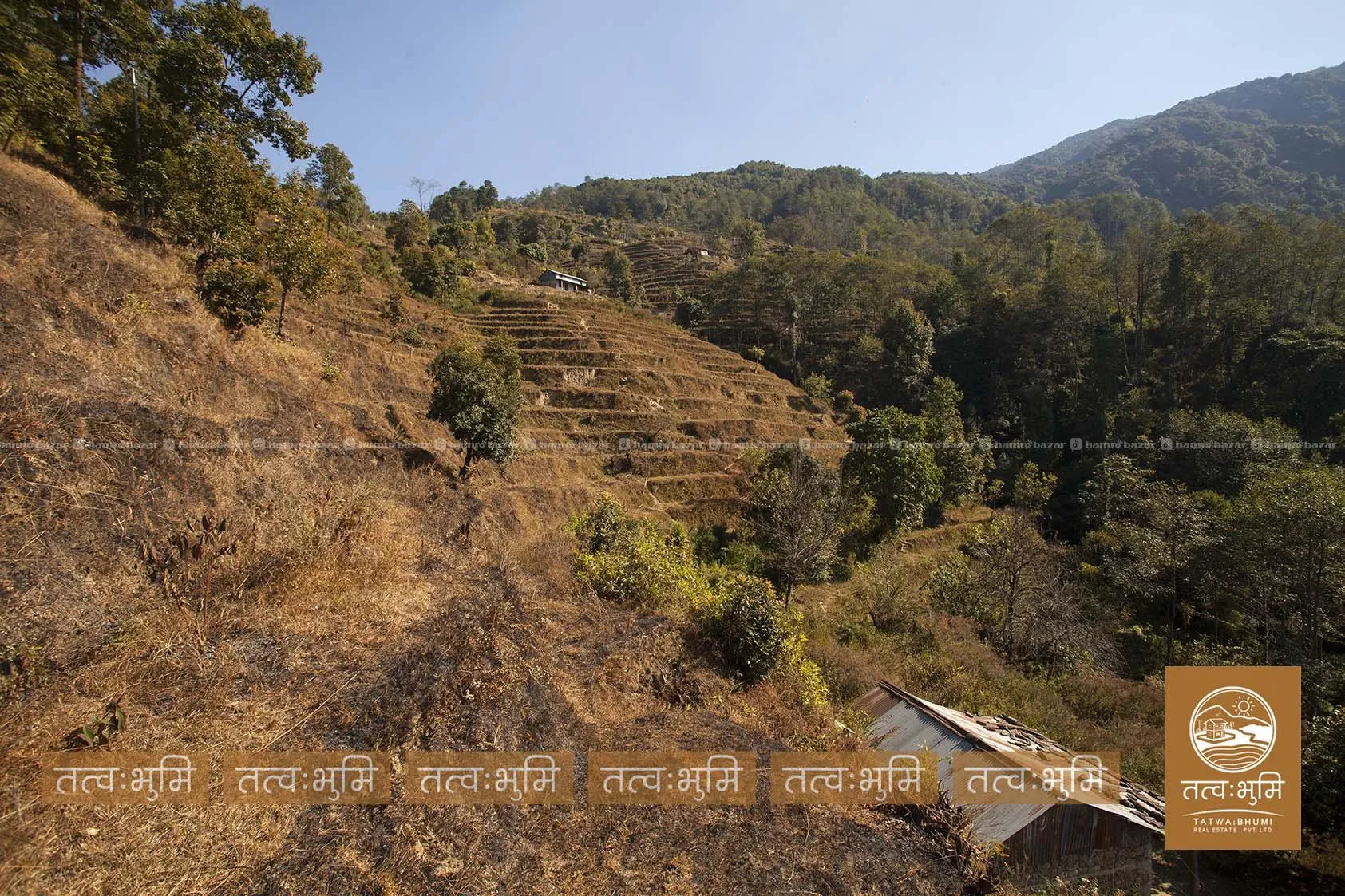 10 Ropani land for sale in KhariBhanjyan - Nuwakot 7