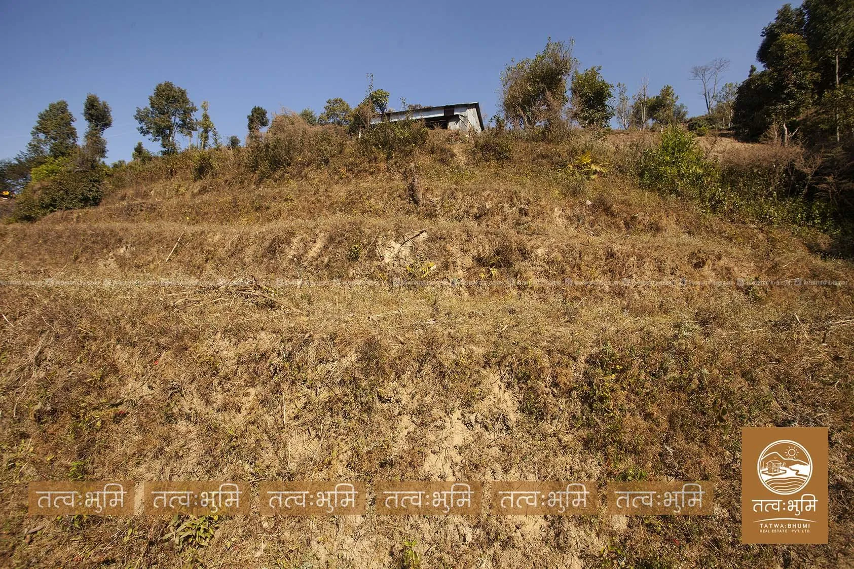 10 Ropani land for sale in KhariBhanjyan - Nuwakot 8