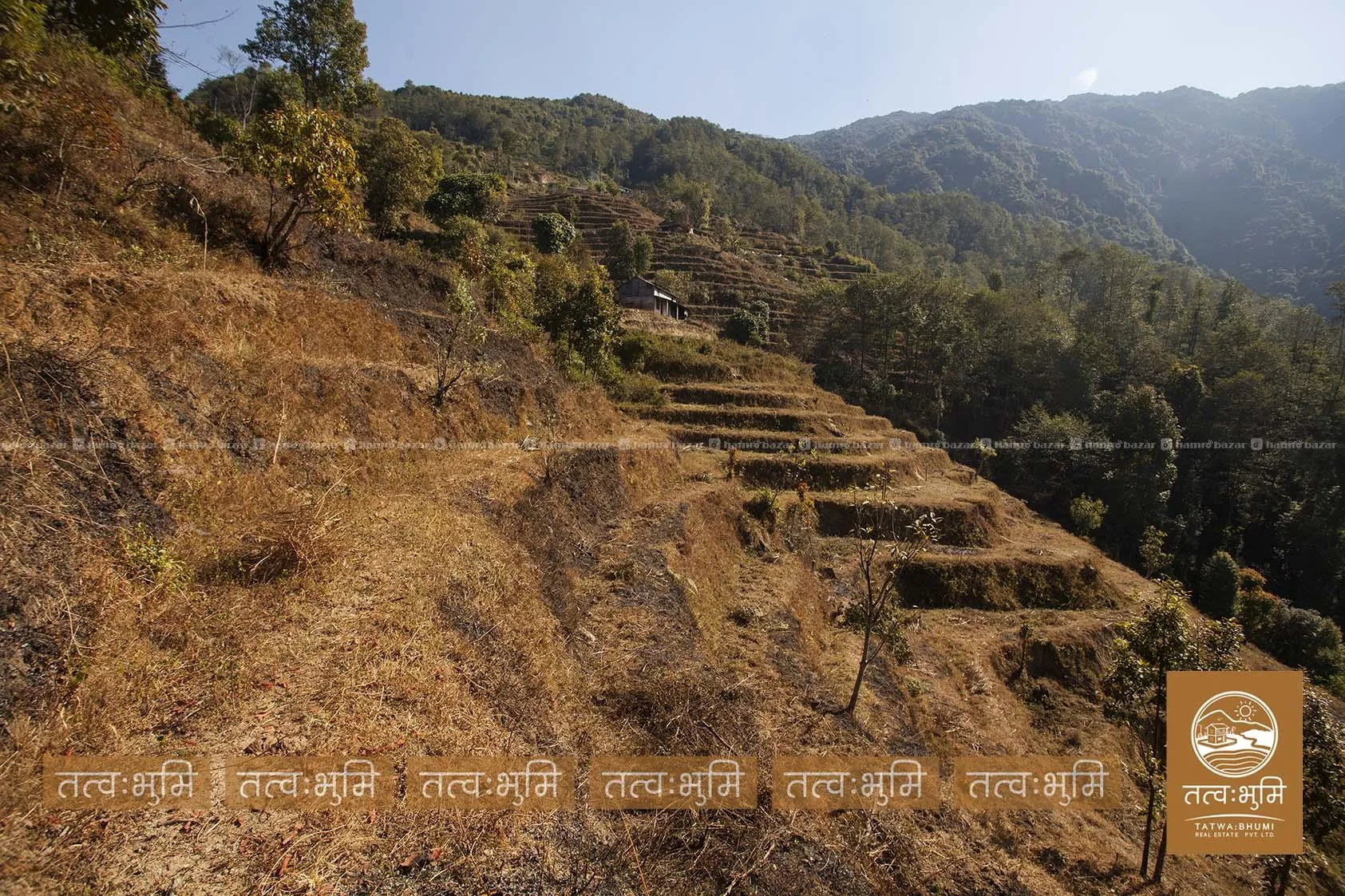 10 Ropani land for sale in KhariBhanjyan - Nuwakot 3