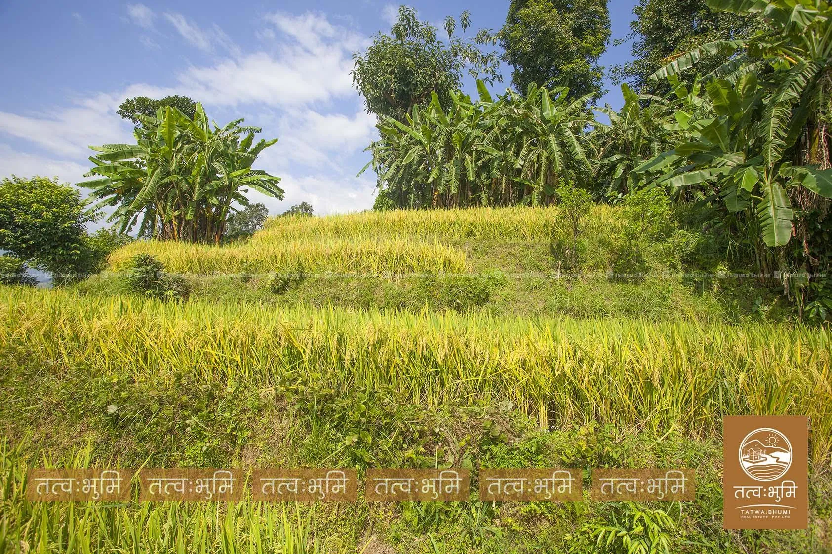 27 Ropani land for sale in Thaprek- Nuwakot. 3