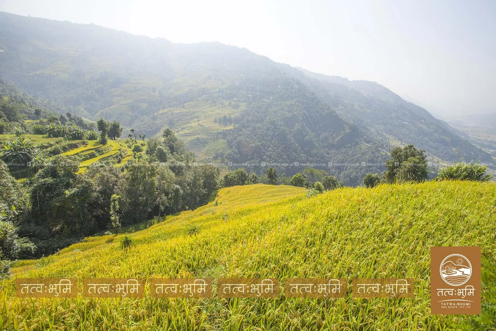 27 Ropani land for sale in Thaprek- Nuwakot. 4