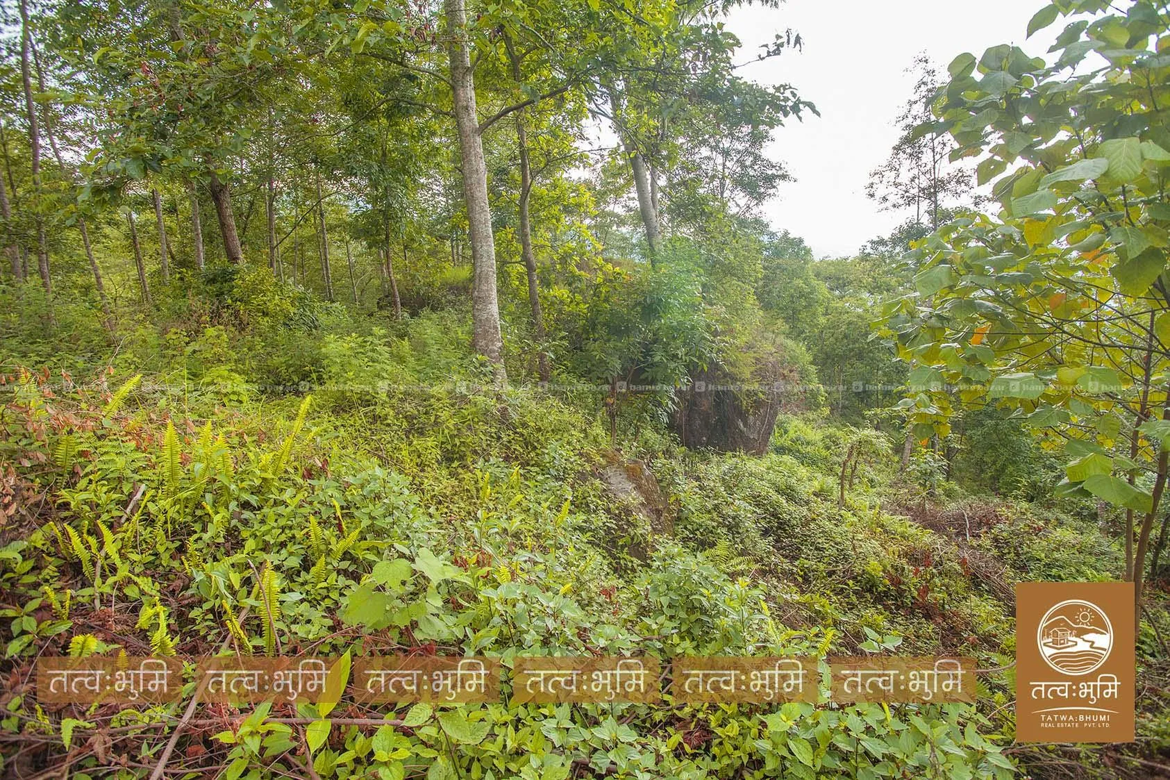 5 Ropani land for sale in Ranipauwa - Nuwakot. 6