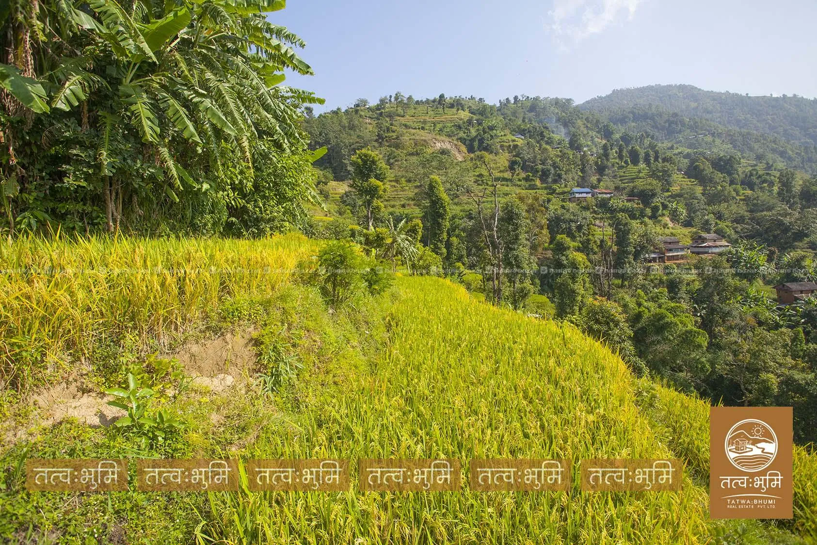 27 Ropani land for sale in Thaprek- Nuwakot. 8