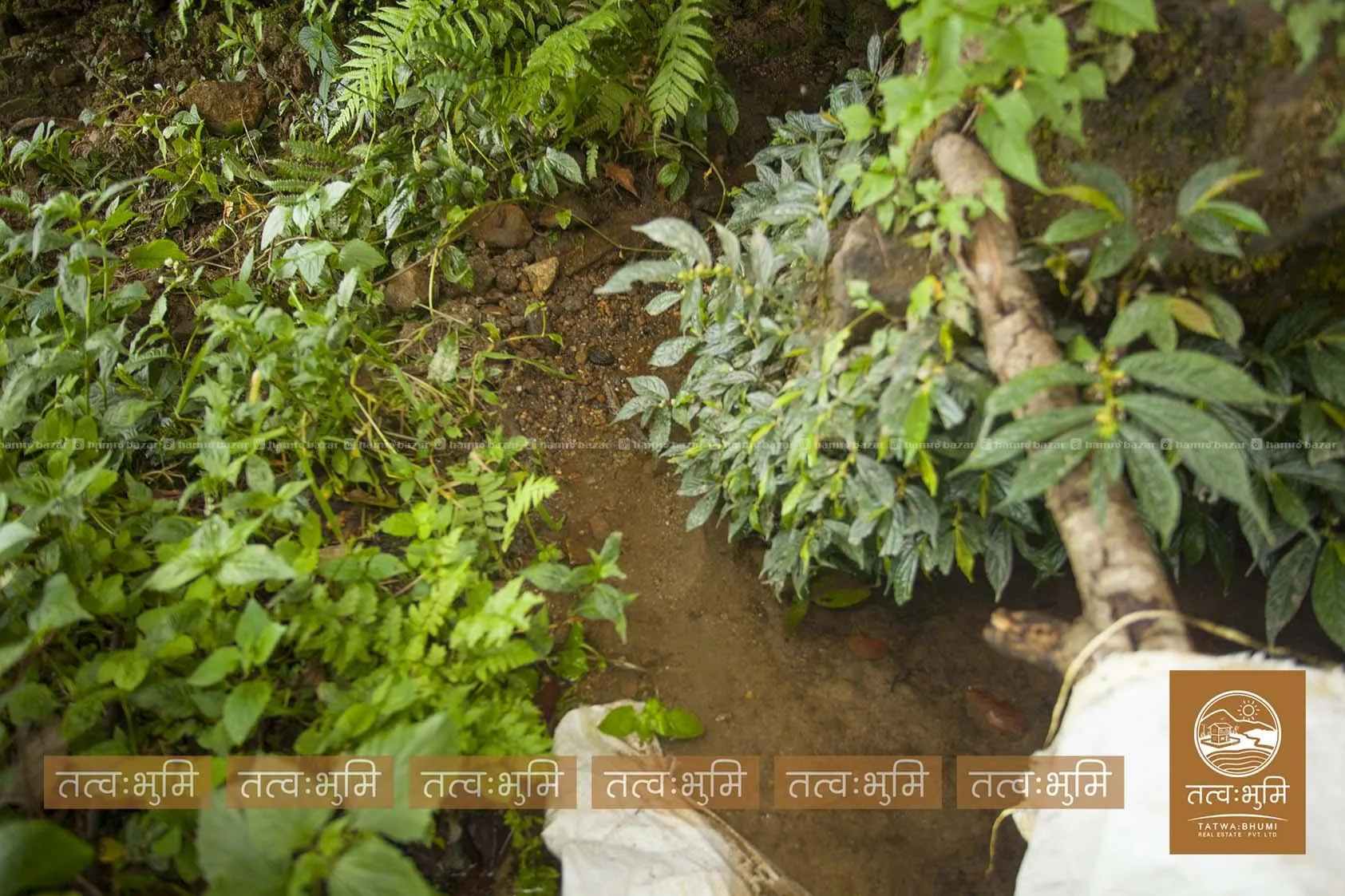 5 Ropani land for sale in Ranipauwa - Nuwakot. 7
