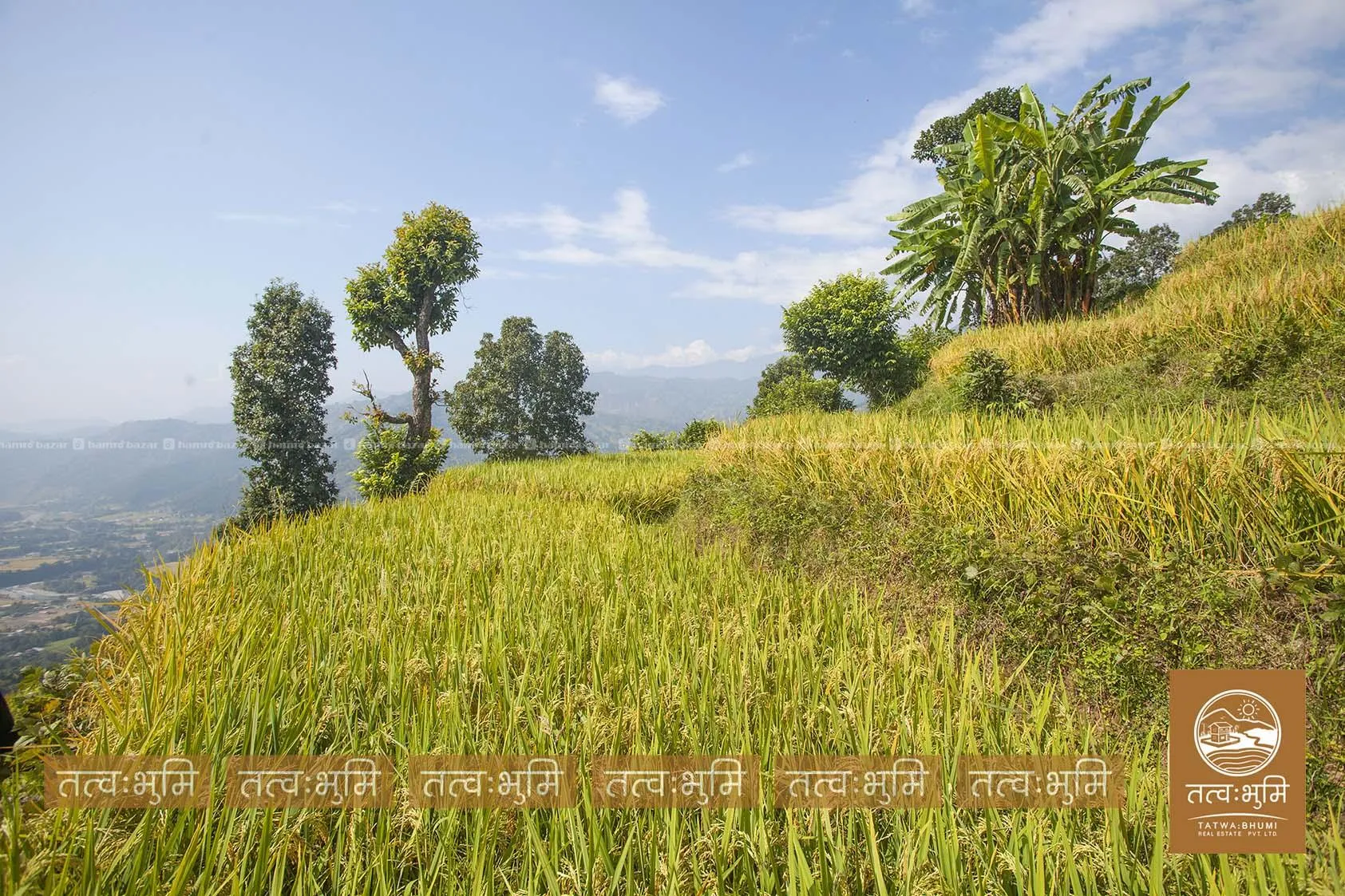 27 Ropani land for sale in Thaprek- Nuwakot. 5