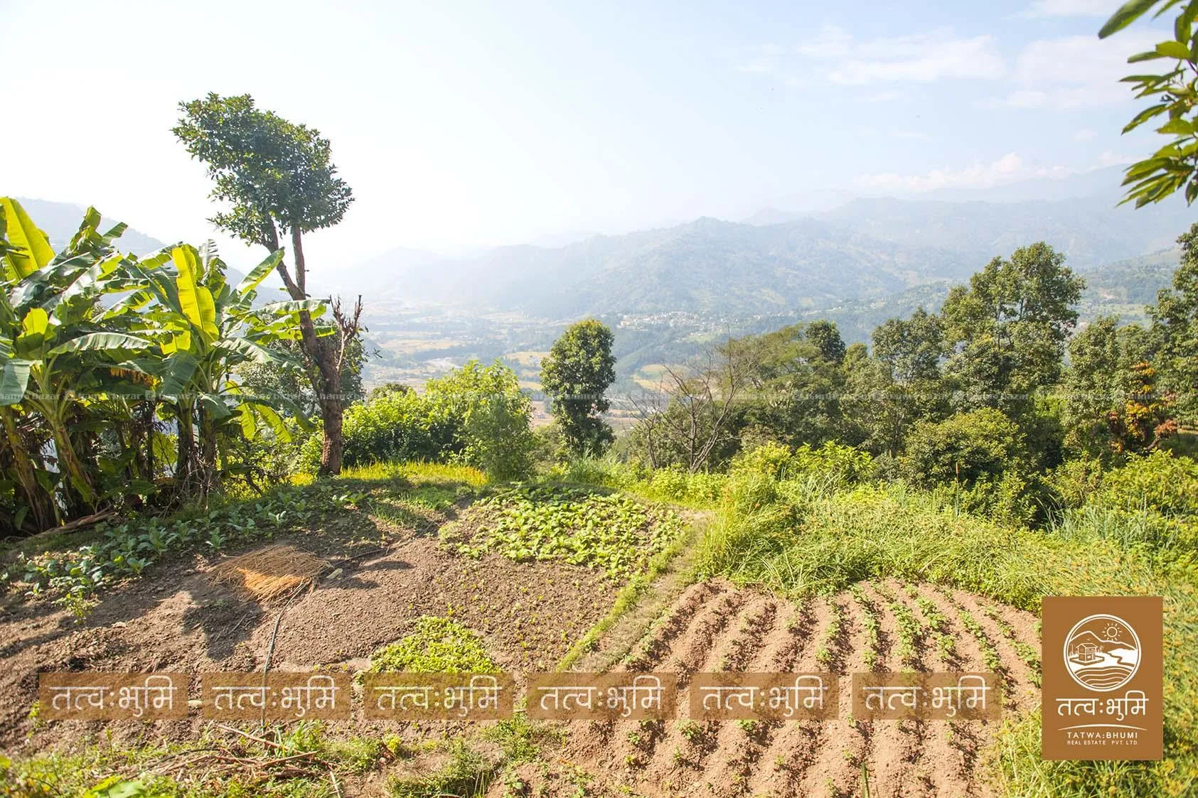 27 Ropani land for sale in Thaprek- Nuwakot. 6
