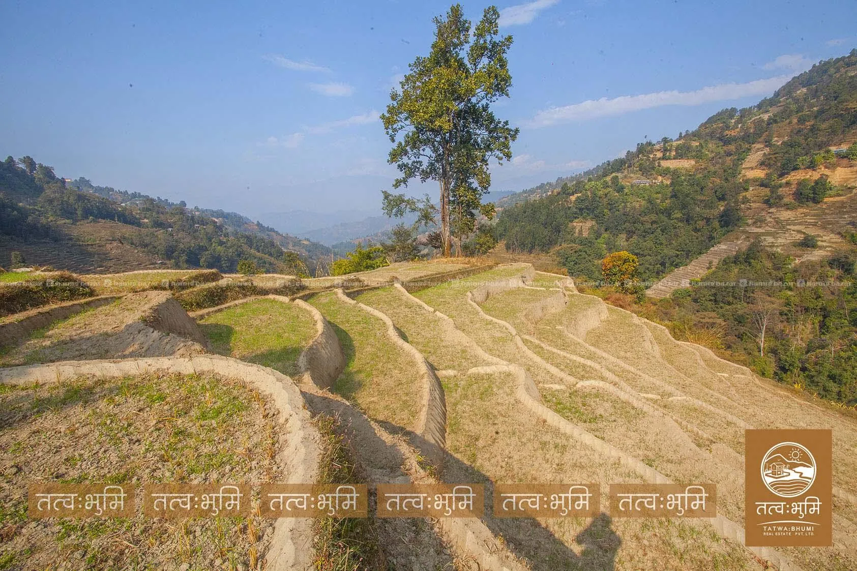 6 Ropani land for sale in 35 Kilo, Kakani-Nuwakot. 3