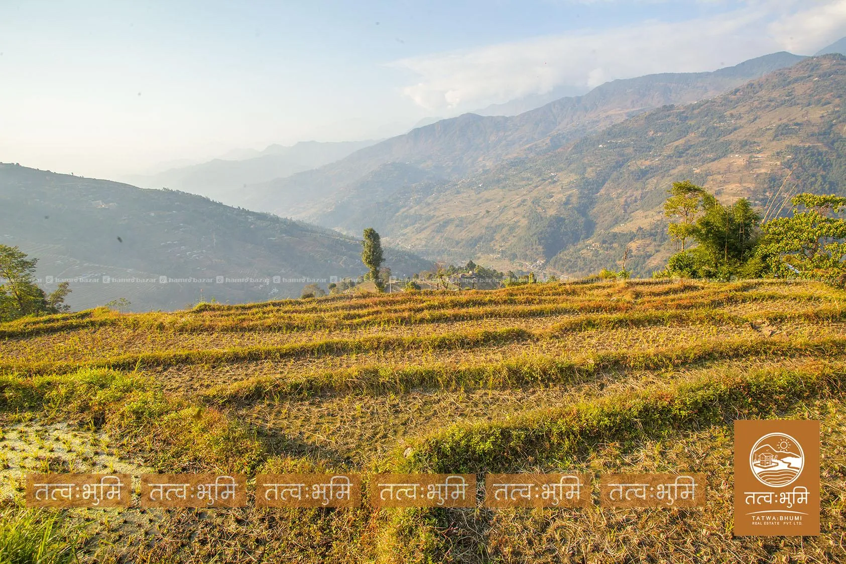 7 Ropani land for sale in Kamaregaun - Nuwakot. 5