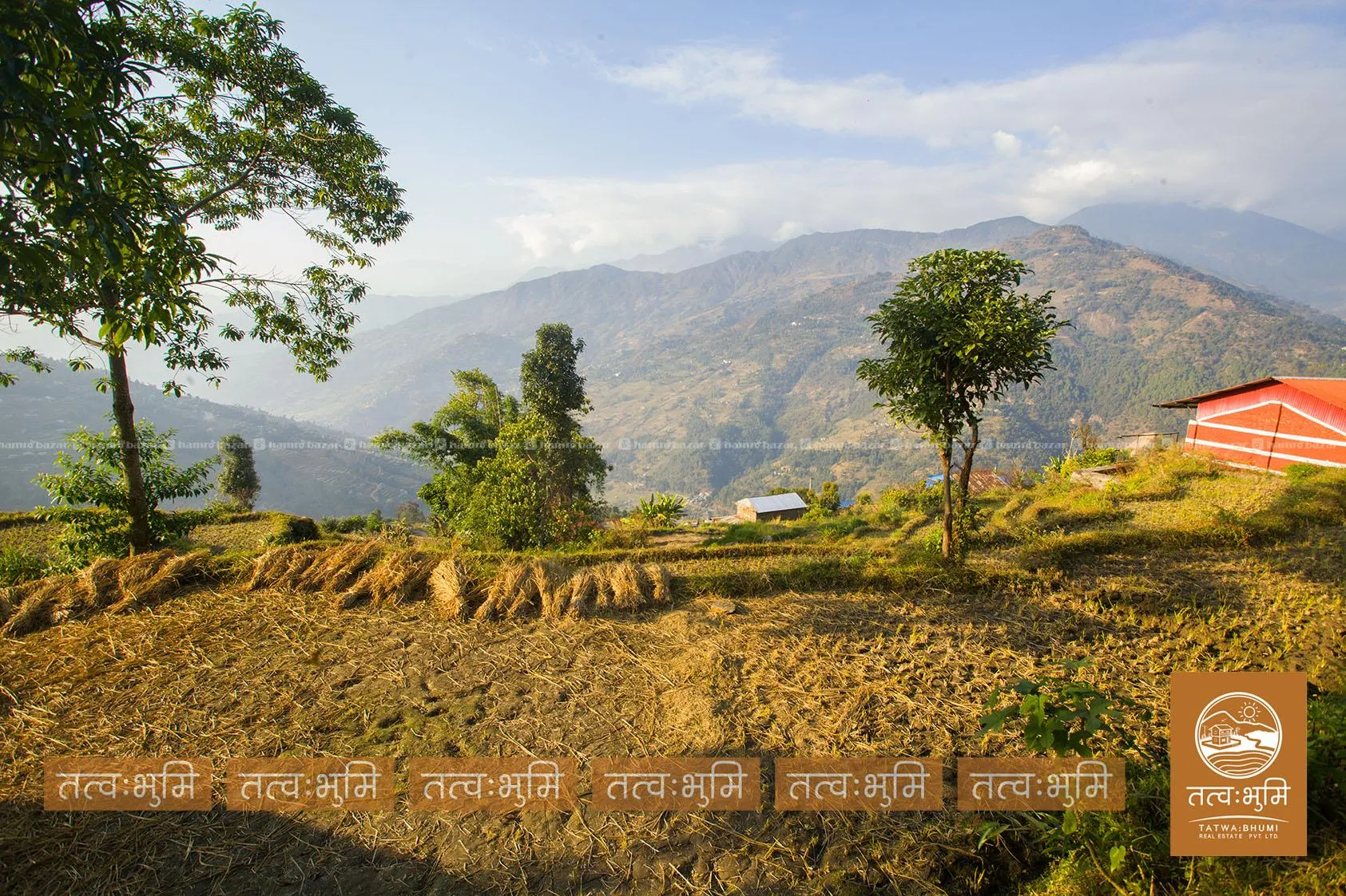 7 Ropani land for sale in Kamaregaun - Nuwakot. 7