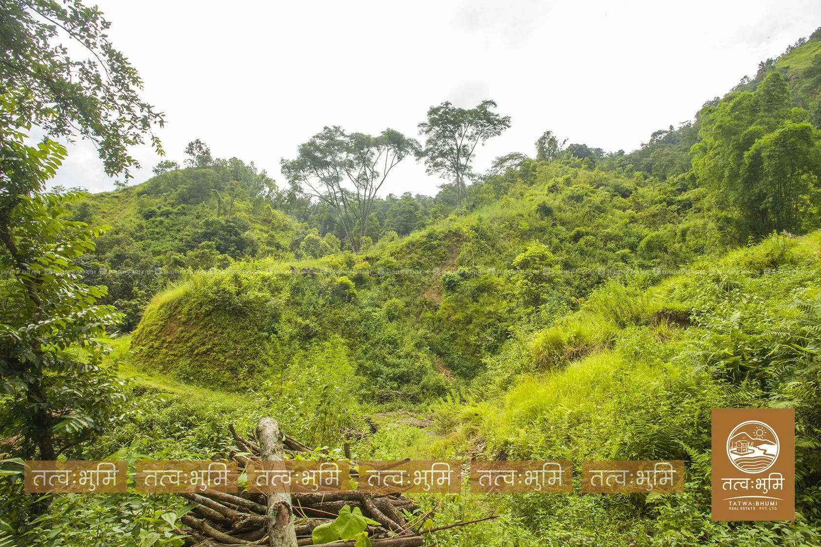 36 Ropani land for sale in Dotel Beshi- Nuwakot. 3
