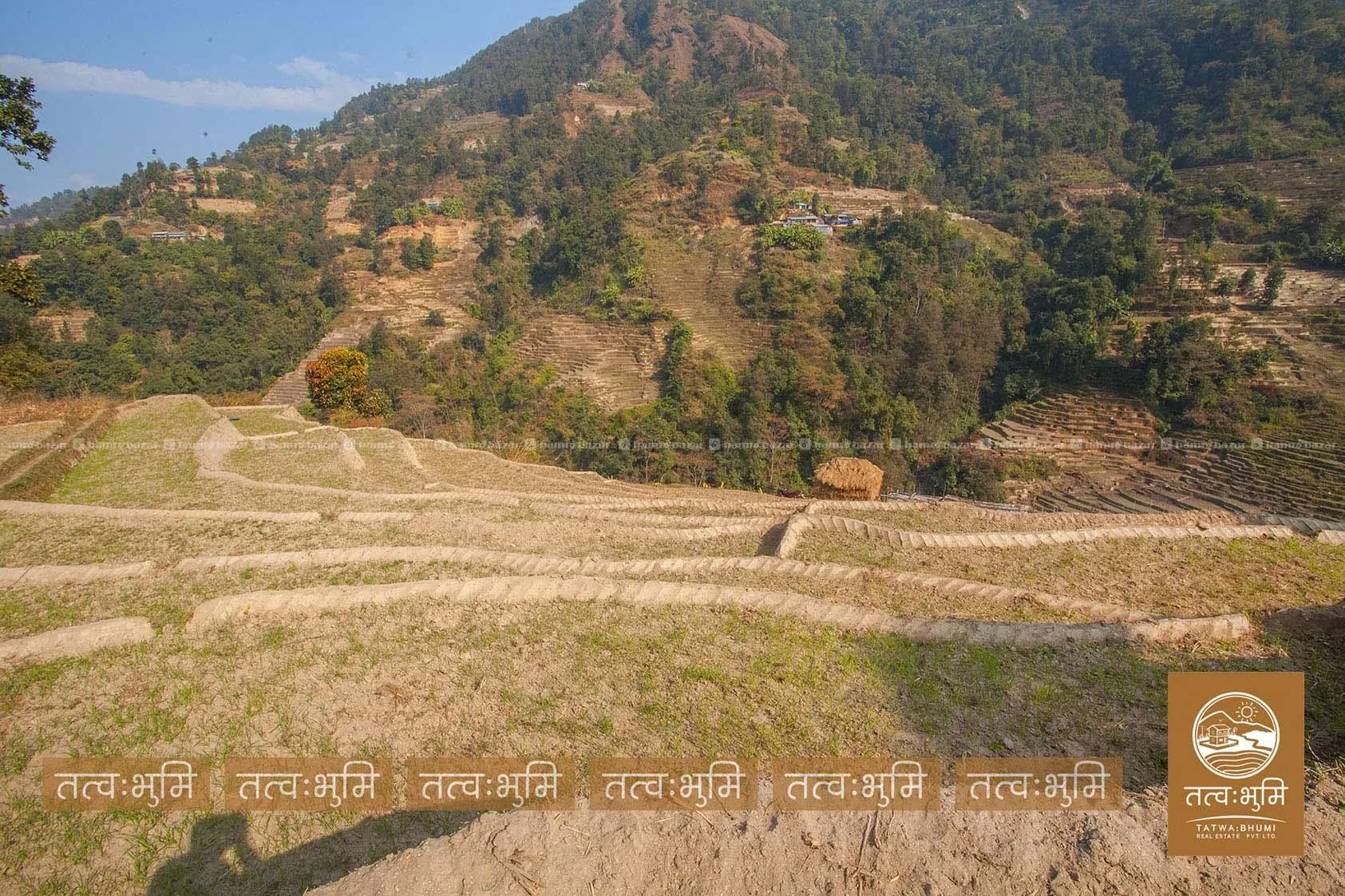 6 Ropani land for sale in 35 Kilo, Kakani-Nuwakot. 2