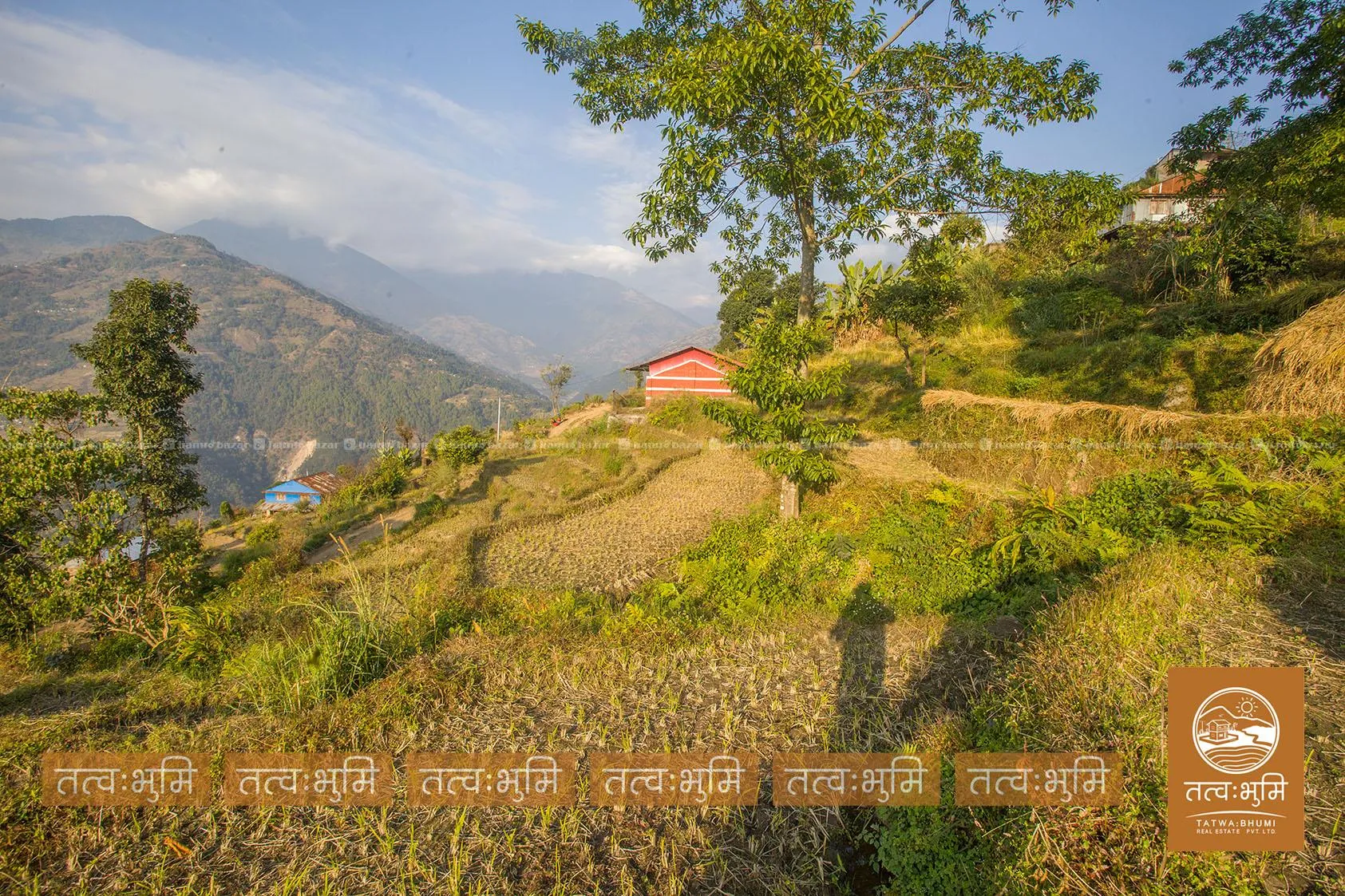 7 Ropani land for sale in Kamaregaun - Nuwakot. 8