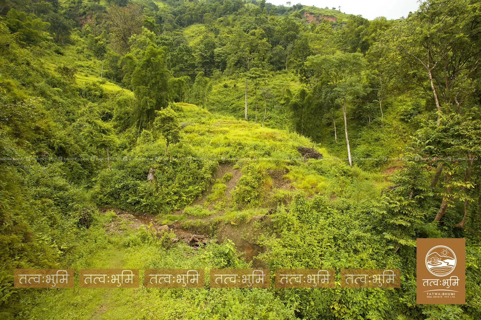 36 Ropani land for sale in Dotel Beshi- Nuwakot. 8