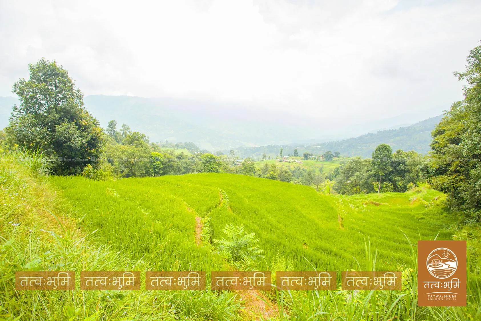 7 Ropani land for sale in Thansingh-Nuwakot. 8