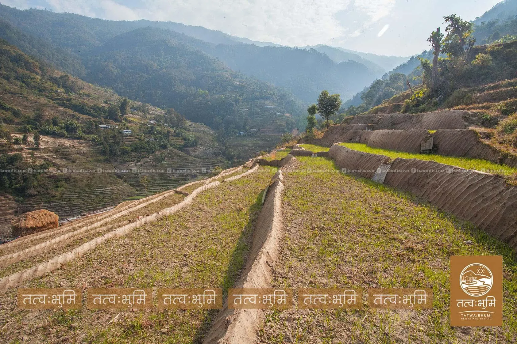 6 Ropani land for sale in 35 Kilo, Kakani-Nuwakot. 6