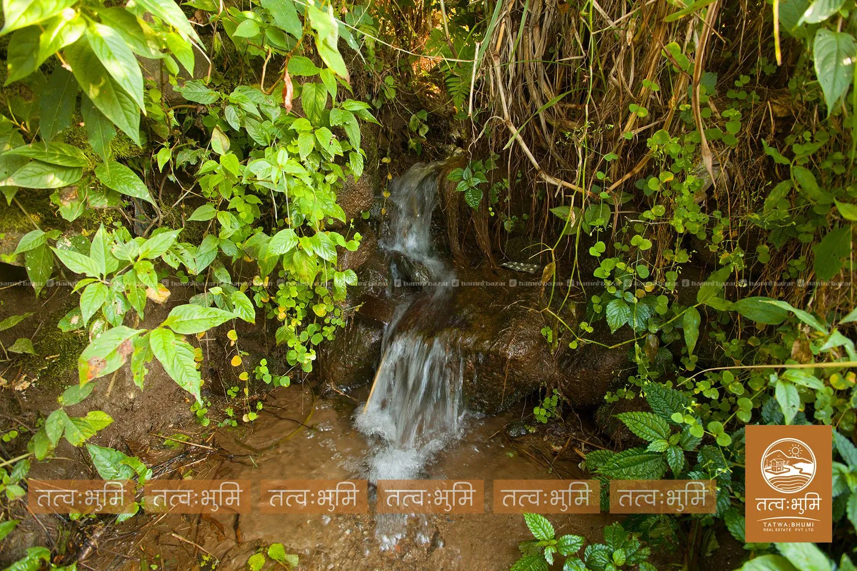 7 Ropani land for sale in Kamaregaun - Nuwakot. 2